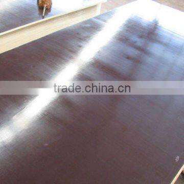 Phenolic WBP plywood