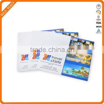 CMYK Printing PVC Ticket Holder with Two Clear Pocket
