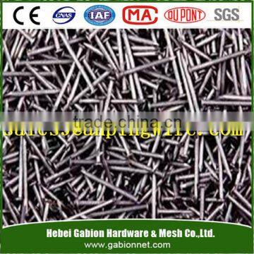 Wholesale nail supplies/galvansied steel nail