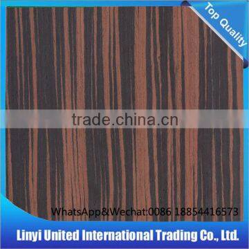 Furniture Door Design Veneer photo-3