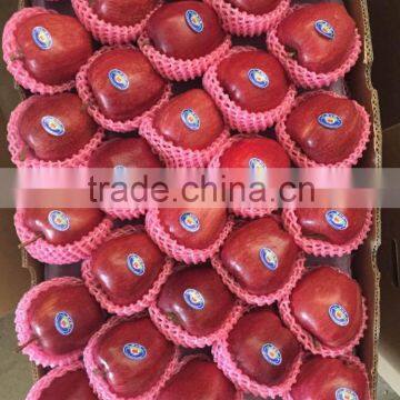 Huaniu Apples photo-2