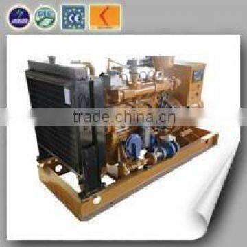 Coal Gas 40kw Chp Generator