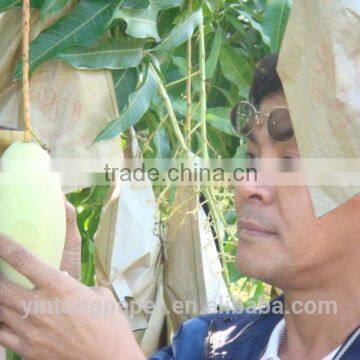 Yintong fruit protection bag mango bag fruit bag