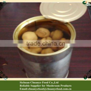 Great Quality Canned Mushroom White Mushroom