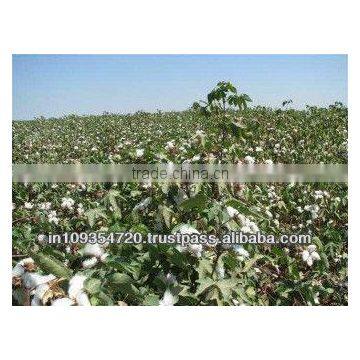 Amit Cotton Industries