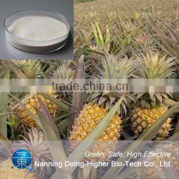 Factory Sale Food Grade Digestive Enzyme Refined Powder Bromelain photo-2