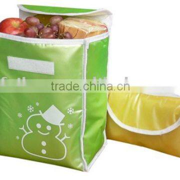 Cooler Bag