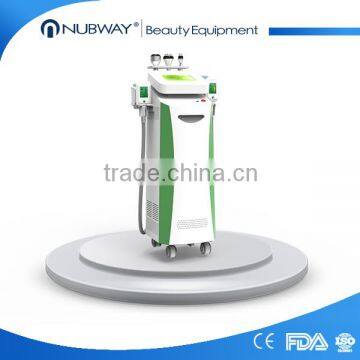 NEWS! Sales Promotion Professtional 2 Hand Pieces Cryolipolysis Vertical Fat Removing Cryolipolysis System photo-3