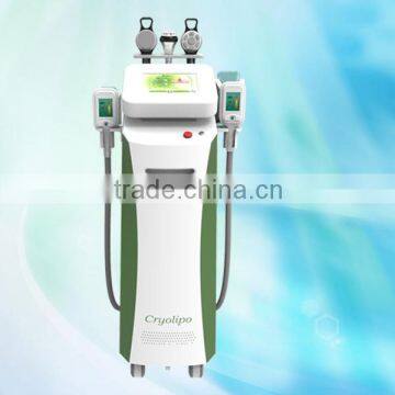 Vertical Fat Reduction Lipolaser Beauty Machine Cryolipolysis 50 / 60Hz