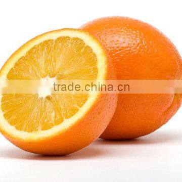 common CULTIVATION TYPE AND ORANGE COLOR FRESH NAVEL CITRUS