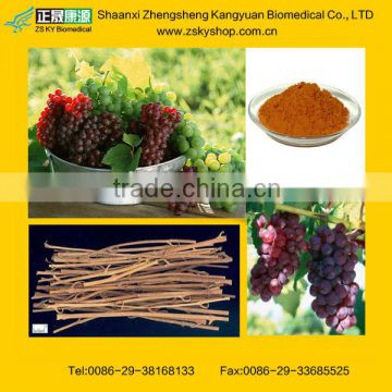 Grape Vine Extract from GMP manufacturer