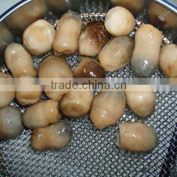 Straw Mushroom Canned