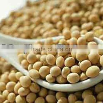 Natural Soybean P.E soybean peptide powder