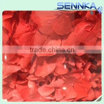 Impressive preserved flower Bulk wholesale export preserved eternal hydrangeas