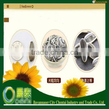 High Quality Natural Dried Common Edible Bulk Raw Sunflower Seeds