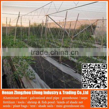 china factory supply pe greenhouse anti bird net , nylon agricultural bird netting , plastic green bird control screen mesh net