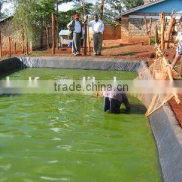 fish ponds