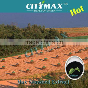 Soil Conditioner Seaweed