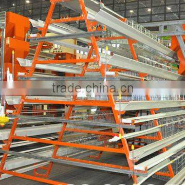 Automatic Chicken Cage for Layers for Farm with 3layer,4layer,5layer (Hot galvanized/Electric galvanized)