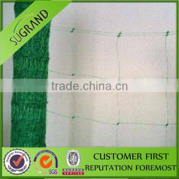 China supplier/ garden use support for climbing plants
