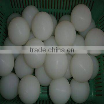 Plastic Injection UHMW-PE Plastic Ball photo-5