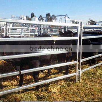 factort steel cattle yard panel and gates