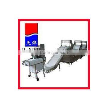 TW-306NS Continuously Vegetable Washing System