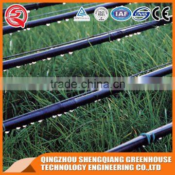 Agriculture Hollow Tempered Glass Greenhouse Dirp Irrigation for Sale photo-5