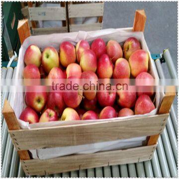Natural Unfinished Lightweight Wooden Fruit Crates for Sale photo-2