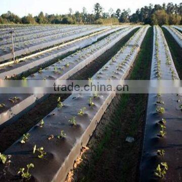 Polypropylene Plastic Agricultural Black PP Ground Cover photo-5