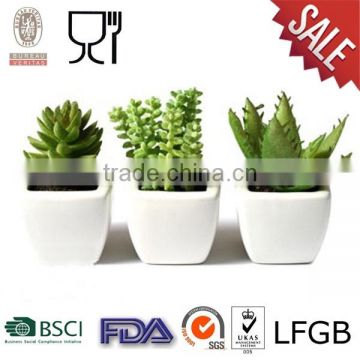 Plastic Square Flower Pot with white color