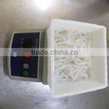 silver fish and well export of frozen fish