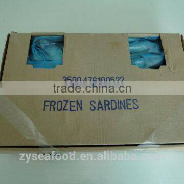 Canned Fish Frozen Sardine Fish photo-2