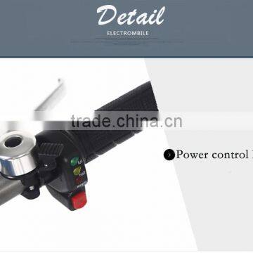 Electric Folding Bike photo-3