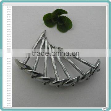 China Wholesale Umbrella Head Roofing Nail photo-5