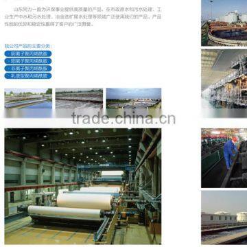 Chemical Flocculating Agent for Oil Field Anionic Polyacrylamide photo-5