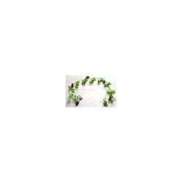 1.54M Grape vines + 5PCS Grape