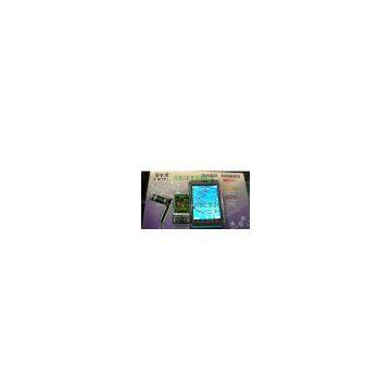 Dual Sim Card GSM Mobile Phone LV95