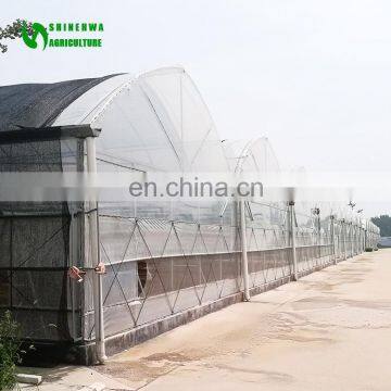 Hot Sale Tunnel/Single-span Plastic/film Greenhouse/Green House For Agriculture