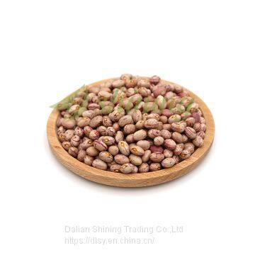 Low Price Round Type Light Speckled Kidney Beans