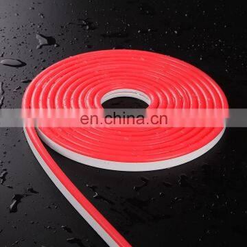 DC 12V Neon Led Silicon Strip With 8*16mm Size Flexible Neon Stripe photo-3