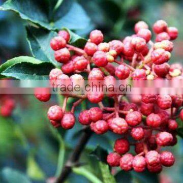 Wild Pepper (huajiao)