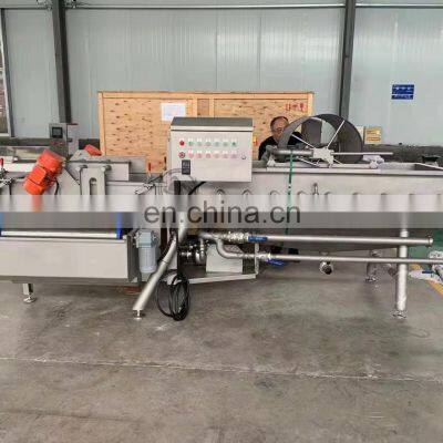 Industrial Complete Automatic Fresh Leaf Vegetables Processing Machine Line With Cutting Washing and Drying Equipment photo-2