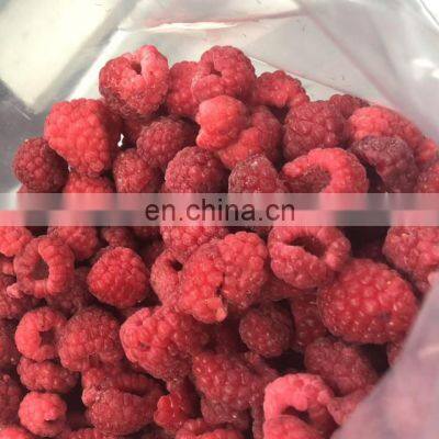Crop 2020 Organic Conventional IQF Frozen Whole Raspberry for Jam Yogurt Juice photo-5