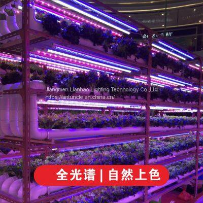 T8 Full Spectrum LED Plant Growth Lamp photo-5