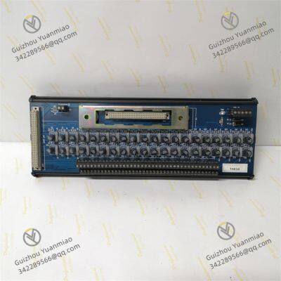 ROCKWELL T8830 Trusted 40 Channel Analogue Input FTA