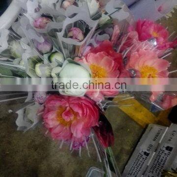 High grade new coming peony for indoor decorative