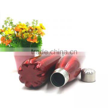 Single Wall Swell 500ML Stainless Steel Bottles With Painting photo-2