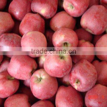 Chinese Huaniu Apple