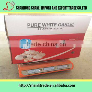 Mesh bage packed vegetables -white garlic,hot selling